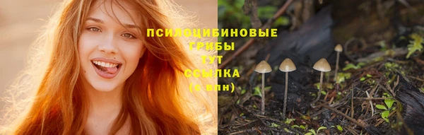 экстази Алексеевка