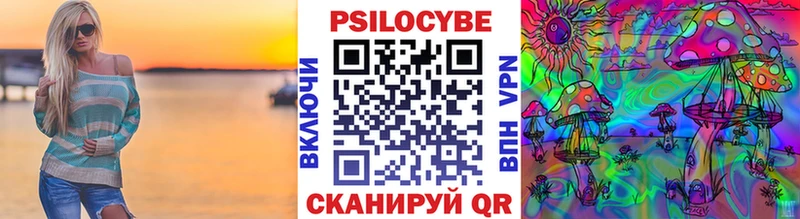 где продают наркотики  mega   Галлюциногенные грибы Cubensis  Тамбов 